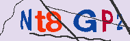 Code Captcha